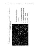 SERUM-BASED, DIAGNOSTIC, BIOLOGICAL ASSAY TO PREDICT PREGNANCY DISORDERS diagram and image