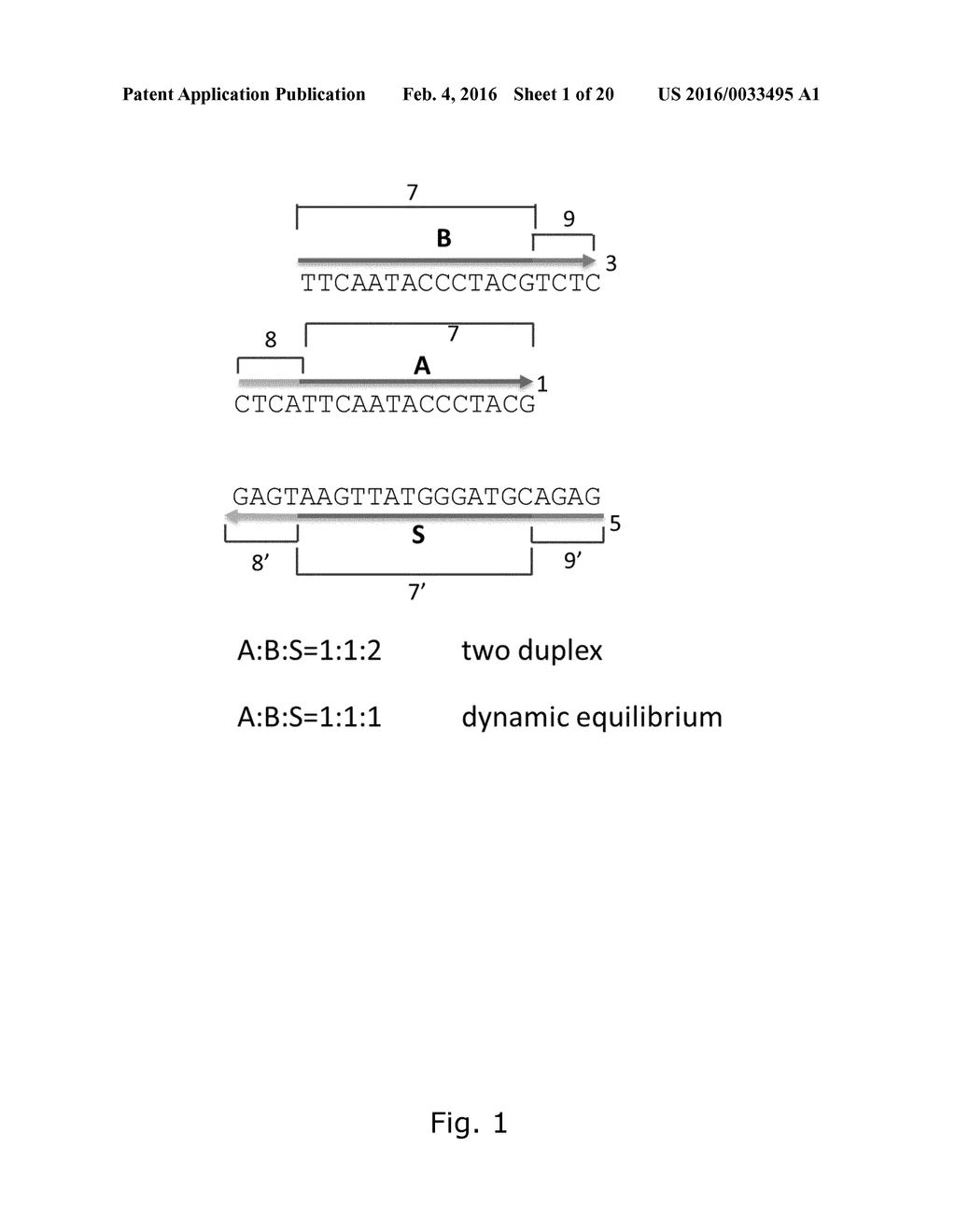 Detection of Non-Nucleic Acid Analytes Using Strand Displacement Exchange     Reactions - diagram, schematic, and image 02