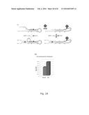 Detection of Non-Nucleic Acid Analytes Using Strand Displacement Exchange     Reactions diagram and image