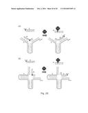 Detection of Non-Nucleic Acid Analytes Using Strand Displacement Exchange     Reactions diagram and image