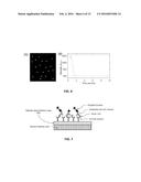 Analyte Detection Enhancement by Targeted Immobilization, Surface     Amplification, and Pixelated Reading and Analysis diagram and image