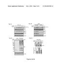 COMPOSITIONS AND METHODS FOR DETECTION OF PROTEIN S-NITROSYLATION AND     OXIDATION diagram and image