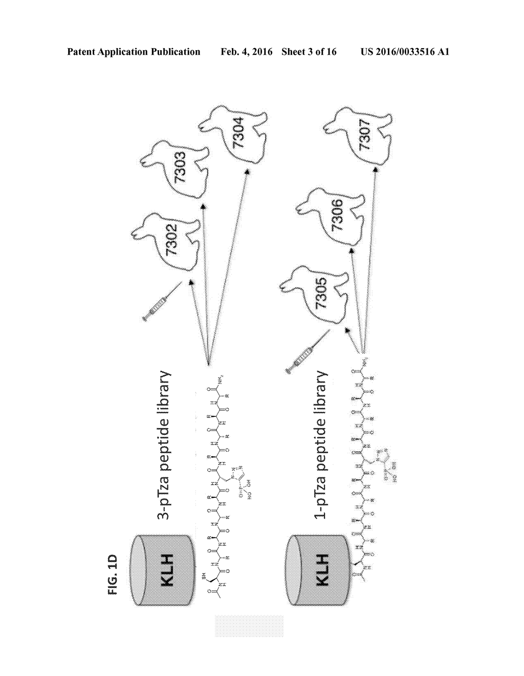 USE OF POLYCLONAL AND MONOCLONAL ANTIBODIES SPECIFIC FOR     3-PHOSPHOHISTIDINE - diagram, schematic, and image 04