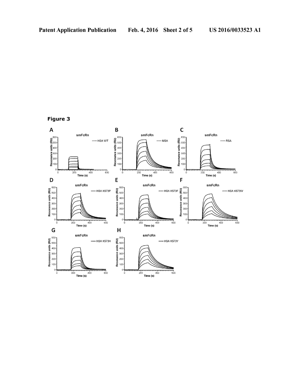 PHARMACOKINETIC ANIMAL MODEL - diagram, schematic, and image 03