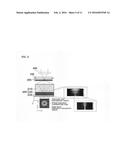 FLEXIBLE NEAR FIELD OPTICAL IMAGING DEVICE INCLUDING FLEXIBLE OPTICAL HEAD     WITH THIN FILM LAYER FOR FORMATION OF DYNAMIC OPTICAL NANO APERTURES diagram and image