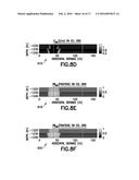 ESTIMATING PETROPHYSICAL PARAMETERS AND INVASION PROFILE USING JOINT     INDUCTION AND PRESSURE DATA INVERSION APPROACH diagram and image