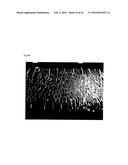 COMPOSITION FOR LIGHT DIFFUSION FILM, AND LIGHT DIFFUSION FILM diagram and image