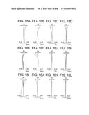 Zoom Lens and Image Pickup Apparatus Using the Same diagram and image