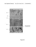 DEFECT-MITIGATION LAYERS IN ELECTROCHROMIC DEVICES diagram and image