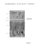 DEFECT-MITIGATION LAYERS IN ELECTROCHROMIC DEVICES diagram and image