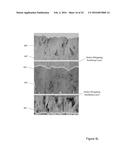 DEFECT-MITIGATION LAYERS IN ELECTROCHROMIC DEVICES diagram and image