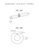 DEVELOPER CARRYING MEMBER AND IMAGE FORMING APPARATUS diagram and image