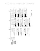 ESTIMATION OF TARGET CHARACTER TRAIN diagram and image