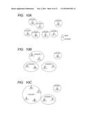 APPARATUS AND METHOD OF COLLATING CATEGORIES OF IMAGES diagram and image