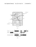 ALL-OPTICAL TIME SLICE SWITCHING METHOD AND SYSTEM BASED ON TIME     SYNCHRONIZATION diagram and image