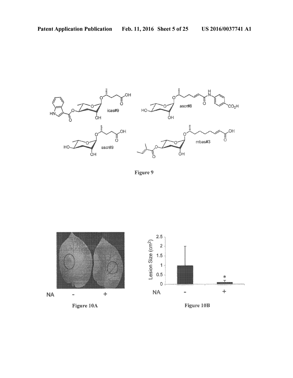 COMPOSITIONS AND METHODS FOR MODULATING IMMUNITY IN PLANTS - diagram, schematic, and image 06