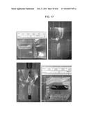 MICROELECTRONIC ANIMAL IDENTIFICATION diagram and image