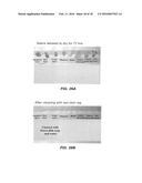 SPILL CONTAINING REFRIGERATOR SHELF ASSEMBLY diagram and image