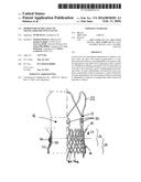 IMPROVEMENTS RELATING TO TRANSCATHETER STENT-VALVES diagram and image