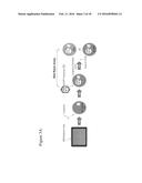 MODULATON OF CELLULAR DNA REPAIR ACTIVITY TO INTERCEPT MALIGNANCY diagram and image