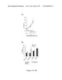 MODULATON OF CELLULAR DNA REPAIR ACTIVITY TO INTERCEPT MALIGNANCY diagram and image