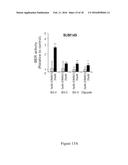 MODULATON OF CELLULAR DNA REPAIR ACTIVITY TO INTERCEPT MALIGNANCY diagram and image