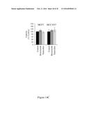 MODULATON OF CELLULAR DNA REPAIR ACTIVITY TO INTERCEPT MALIGNANCY diagram and image