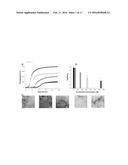 THE INHIBITION OF THE TOXIC EFFECTS OF ISLET AMYLOID FORMATION BY     FLURBIPROFEN AND FLURBIPROFEN DERIVATIVES diagram and image