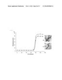 THE INHIBITION OF THE TOXIC EFFECTS OF ISLET AMYLOID FORMATION BY     FLURBIPROFEN AND FLURBIPROFEN DERIVATIVES diagram and image