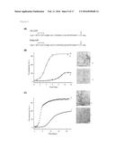 THE INHIBITION OF THE TOXIC EFFECTS OF ISLET AMYLOID FORMATION BY     FLURBIPROFEN AND FLURBIPROFEN DERIVATIVES diagram and image