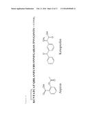 THE INHIBITION OF THE TOXIC EFFECTS OF ISLET AMYLOID FORMATION BY     FLURBIPROFEN AND FLURBIPROFEN DERIVATIVES diagram and image