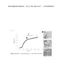 THE INHIBITION OF THE TOXIC EFFECTS OF ISLET AMYLOID FORMATION BY     FLURBIPROFEN AND FLURBIPROFEN DERIVATIVES diagram and image