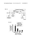 COMPOSITIONS AND METHODS FOR THE TREATMENT OF NATAL AND PRE-NATAL     CONDITIONS WITH ALPHA-TOCOPHEROL diagram and image