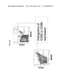 COMPOSITIONS AND METHODS FOR THE TREATMENT OF NATAL AND PRE-NATAL     CONDITIONS WITH ALPHA-TOCOPHEROL diagram and image