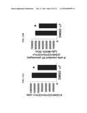 COMPOSITIONS AND METHODS FOR THE TREATMENT OF NATAL AND PRE-NATAL     CONDITIONS WITH ALPHA-TOCOPHEROL diagram and image