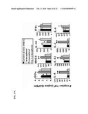 COMPOSITIONS AND METHODS FOR THE TREATMENT OF NATAL AND PRE-NATAL     CONDITIONS WITH ALPHA-TOCOPHEROL diagram and image