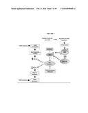 COMPOSITIONS AND METHODS FOR DRUG-SENSITIZATION OR INHIBITION OF A CANCER     CELL diagram and image