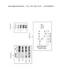 COMPOSITIONS AND METHODS FOR DRUG-SENSITIZATION OR INHIBITION OF A CANCER     CELL diagram and image