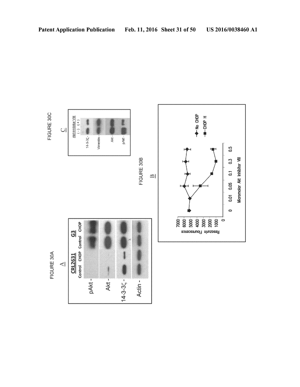 COMPOSITIONS AND METHODS FOR DRUG-SENSITIZATION OR INHIBITION OF A CANCER     CELL - diagram, schematic, and image 32