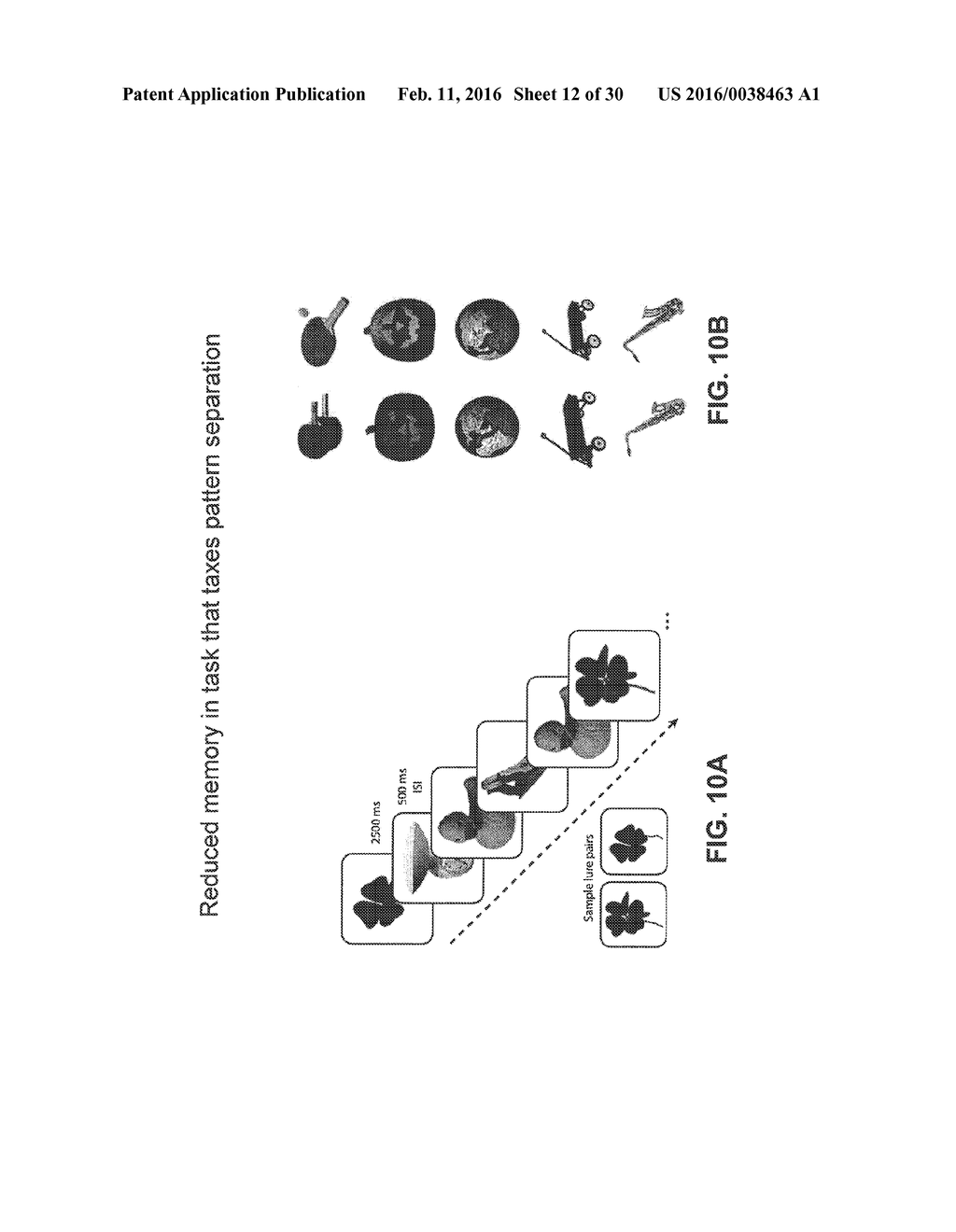 METHODS AND COMPOSITIONS FOR IMPROVING COGNITIVE FUNCTION - diagram, schematic, and image 13