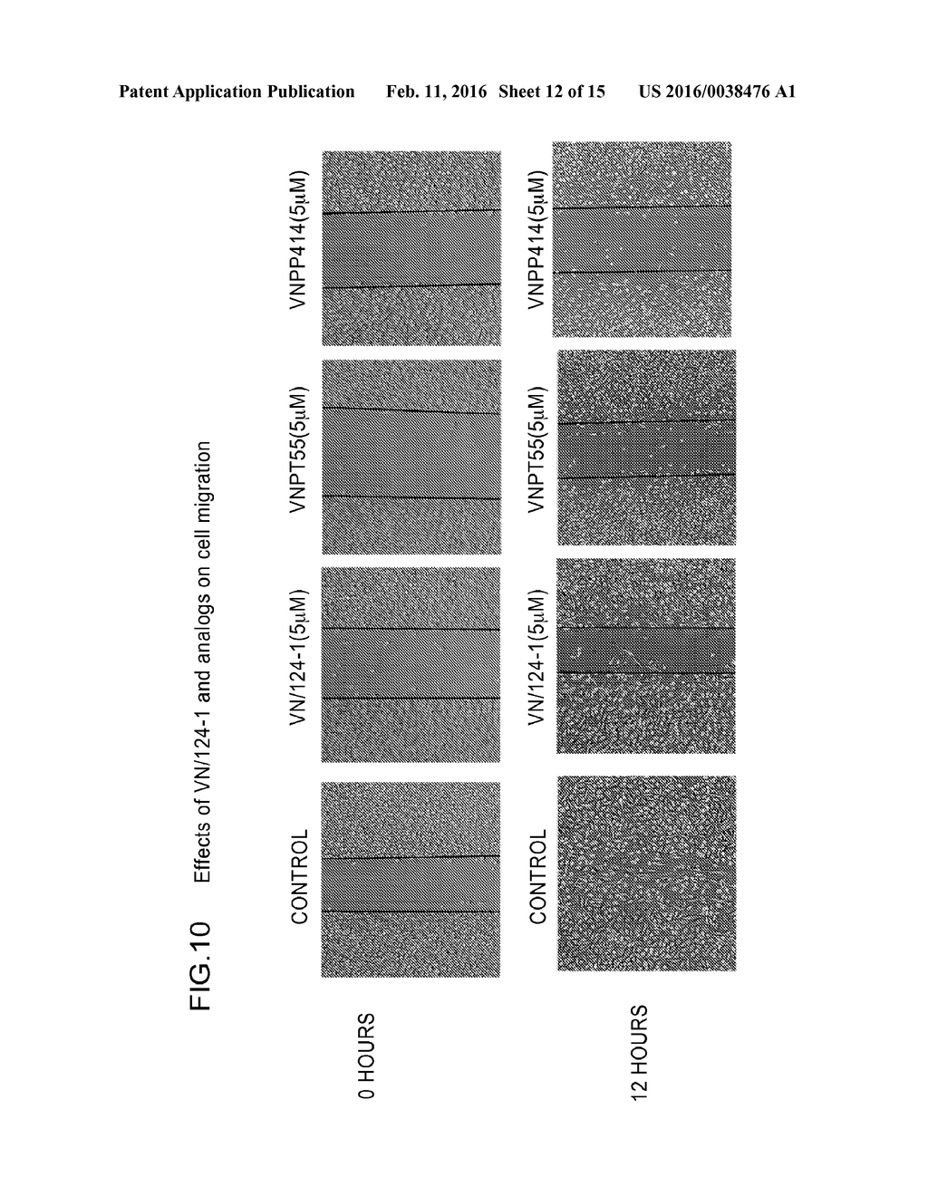 NONSTEROIDAL AND STEROIDAL COMPOUNDS WITH POTENT ANDROGEN RECEPTOR     DOWN-REGULATION AND ANTI PROSTATE CANCER ACTIVITY - diagram, schematic, and image 13