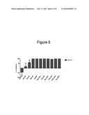 Enhanced Treatment Regimens Using mTOR Inhibitors diagram and image