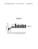 Enhanced Treatment Regimens Using mTOR Inhibitors diagram and image