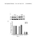 METHODS FOR THE TREATMENT OF CANCER diagram and image