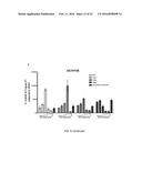 METHODS FOR THE TREATMENT OF CANCER diagram and image