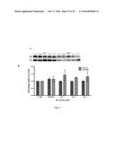 METHODS FOR THE TREATMENT OF CANCER diagram and image