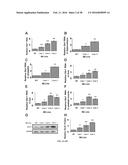 METHODS AND COMPOSITIONS FOR INHIBITING GLYOXALASE 1 (GLO1) diagram and image