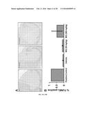 METHODS AND COMPOSITIONS FOR INHIBITING GLYOXALASE 1 (GLO1) diagram and image