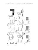 METHODS AND COMPOSITIONS FOR INHIBITING GLYOXALASE 1 (GLO1) diagram and image