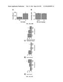 METHODS AND COMPOSITIONS FOR INHIBITING GLYOXALASE 1 (GLO1) diagram and image